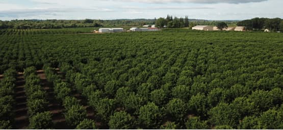 Farm Image