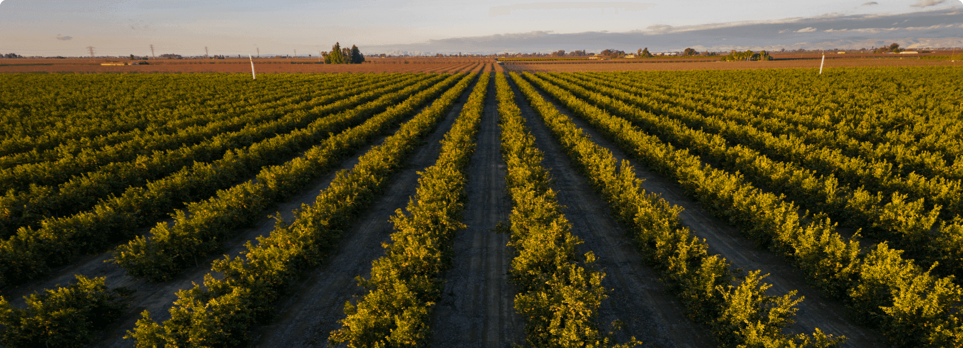 Farm Image