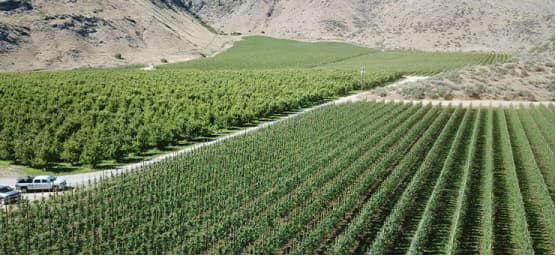 Farm Image